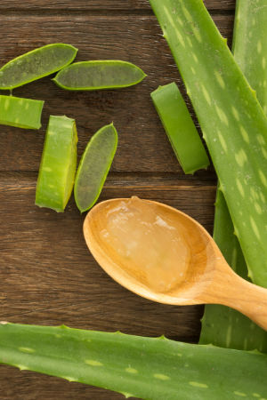 Lernen Sie unsere Aloe Vera Produkte risikofrei kennen - GRATIS!