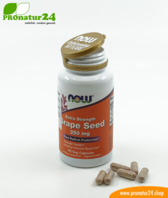 OPC Traubenkernextrakt hochdosiert mit jeweils 250 mg, 90 vegetarische Kapseln