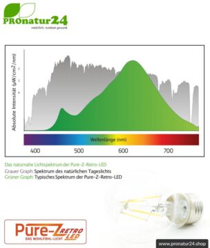 led lampe filament pure z retro e27 42watt farbspektrum pronatur24 884