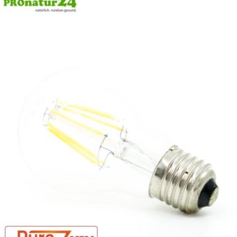 6,4 Watt LED Filament Pure-Z Retro von BioLicht | Klarglas | Hell wie 60 Watt, 600 Lumen | warmweiß (2700 Kelvin) | CRI >90, flimmerfrei (< 1%), E27