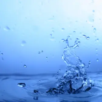 Wasser