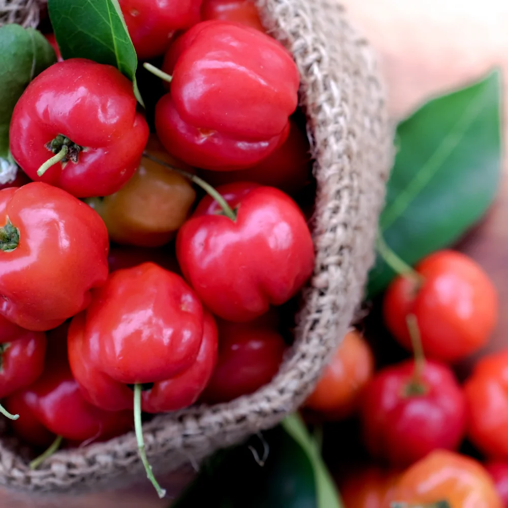 Acerola Kirsche als Vitamin C Spender.