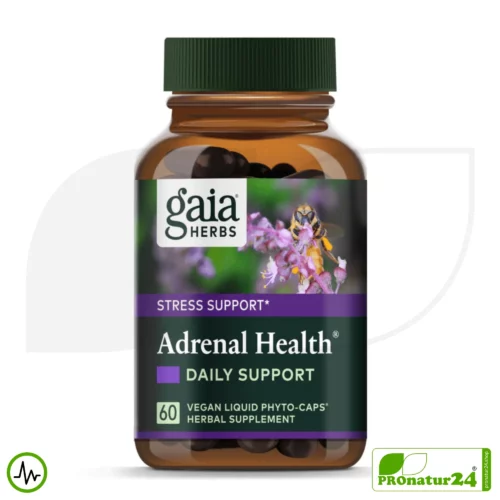 ADRENAL HEALTH - DAILY SUPPORT von Gaia Herbs | Konzentration und Fokus im Alltag | Geeignet als Ergänzung bei intensivem Training + Höhentraining | 60 Kapseln