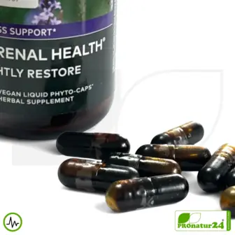 ADRENAL HEALTH - NIGHTLY RESTORE von Gaia Herbs | Die Nacht im Fokus | Nahrungsergänzung vor dem Schlafengehen | 60 Kapseln
