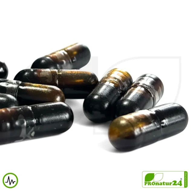 ADRENAL HEALTH - NIGHTLY RESTORE von Gaia Herbs | Die Nacht im Fokus | Nahrungsergänzung vor dem Schlafengehen | 60 Kapseln