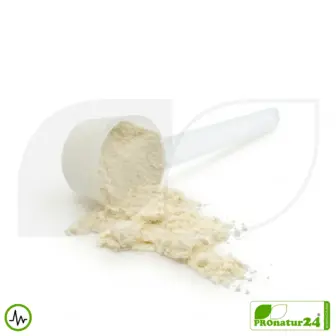 Premium Whey Protein Natur | Vitalshake von HFQ