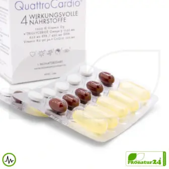 WHC QuattroCardio® (OMEGA-3 Fettsäuren, Vitamin D3, K2 und Q10 Ubichinol) | 90 Kapseln